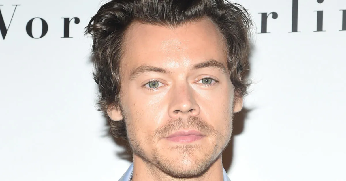 Harry Styles to Curate and Perform at 2026 Meltdown Festival in London