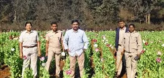 Opium Cultivation Accused Escapes from Police Custody in Sundargarh’s Koida