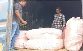 1,250 Kg Ganja Worth Over Rs 1 Crore Seized from Forest in Odisha’s Malkangiri
