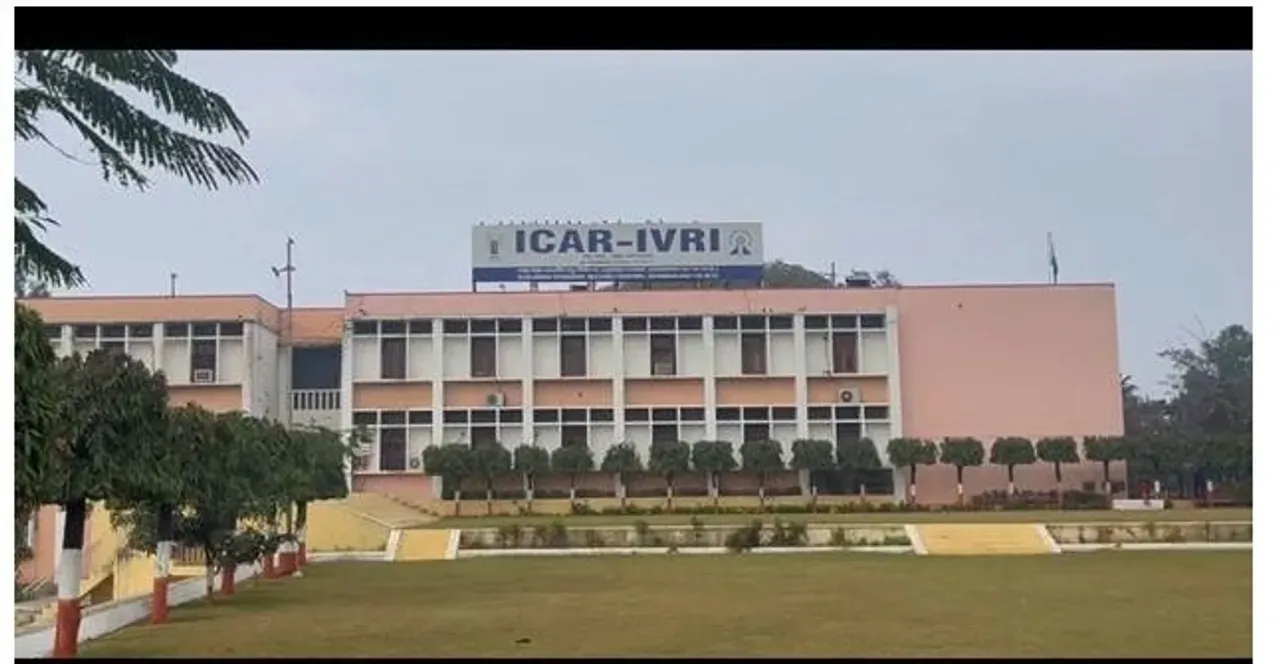 ଭାରତ ପାଇଁ ବଡ଼ ସଫଳତା: QS World Rankings 2026ରେ ପ୍ରଥମ ଥର ପାଇଁ ICAR ସଂସ୍ଥାନମାନଙ୍କ ପ୍ରବେଶ