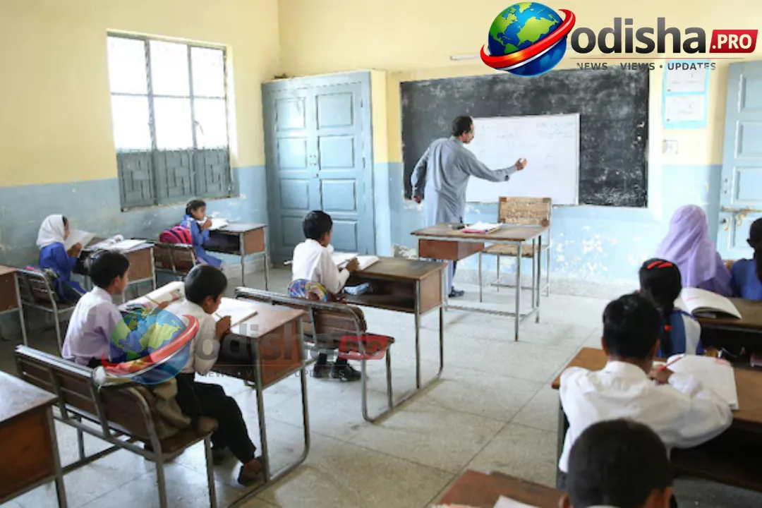 CBSE CTET ଫଳାଫଳ ଘୋଷଣା: ପାସ୍ କରିବା ପରେ କଣ କରିବେ?