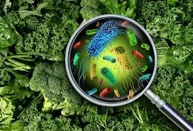 ମୟୂରଭଞ୍ଜ ଆଶ୍ରମ ସ୍କୁଲରେ ସନ୍ଦେହଜନକ ଖାଦ୍ୟ ବିଷାକ୍ତତା: ଛାତ୍ରୀର ମୃତ୍ୟୁ, ମୁଖ୍ୟଶିକ୍ଷକ ସସ୍ପେଣ୍ଡ