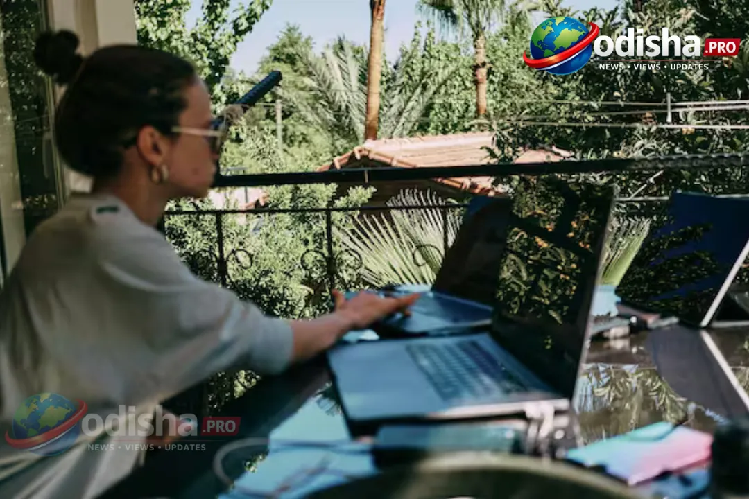 ‘Work From Anywhere’ ସବୁବେଳେ ଭ୍ରମଣ ଓ ସନସେଟ୍ ନୁହେଁ—ଏହି ସତ୍ୟ କେହି କହୁନାହାନ୍ତି