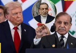 ପାକିସ୍ତାନୀ ପ୍ରତିନିଧିମଣ୍ଡଳୀରେ ‘ଅନ୍ତର୍ଜାତୀୟ ଅଭିଯୁକ୍ତ’ ଦାବି! ଭାଇରାଲ ଭିଡିଓକୁ ନେଇ ତୀବ୍ର ଚର୍ଚ୍ଚା