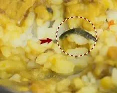 ଭୁବନେଶ୍ୱର ରାଜ୍ୟ ପୁସ୍ତକାଳୟ ଆହାର କେନ୍ଦ୍ରରେ ଖାଦ୍ୟରେ ବିଛି ମିଳିବା ଅଭିଯୋଗ, ଉତ୍ତେଜନା