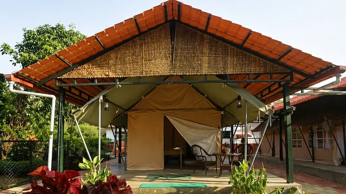 କର୍ଣ୍ଣାଟକରେ ବିଦେଶୀ ପର୍ଯ୍ୟଟକଙ୍କୁ ଯୌନ ନିର୍ଯାତନା ଅଭିଯୋଗ: ହୋମଷ୍ଟେ ମାଲିକ ଓ କର୍ମଚାରୀ ଗିରଫ