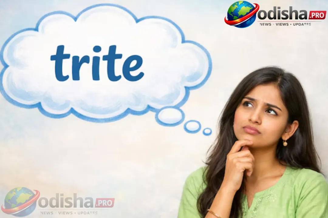 ଆଜିର ଶବ୍ଦ: ‘Trite’ ର ଅର୍ଥ ଏବଂ ସଠିକ୍ ବ୍ୟବହାର