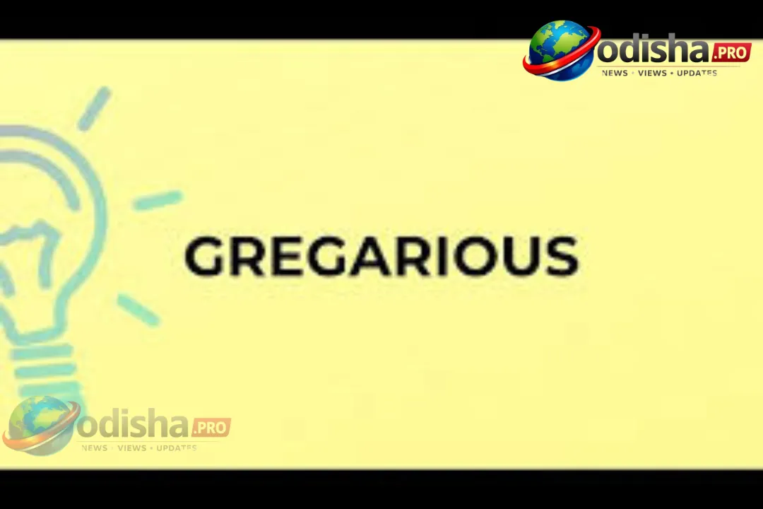 ଆଜିର ଶବ୍ଦ: ‘Gregarious’ ର ଅର୍ଥ ଏବଂ ସଠିକ୍ ବ୍ୟବହାର
