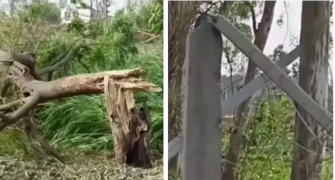 ଉତ୍ତର ପ୍ରଦେଶର ସୁଲତାନପୁରରେ ଭୟଙ୍କର ଝଡ଼-ବର୍ଷାର ତଣ୍ଡବ, 7 ମୃତ; ଦୁଇ ଶିଶୁ ସହ 20ରୁ ଅଧିକ ଆହତ