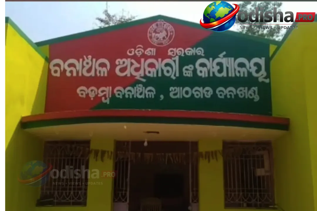 ଓଡିଶା କଟକର ଫାର୍ମହାଉସରେ ହାତୀର ଆକ୍ରମଣରେ ଯୁବକ ମୃତ, ସ୍ଥାନୀୟମାନେ କାର୍ଯ୍ୟାଳୟର ଅବହେଳା ଆକ୍ଷେପ