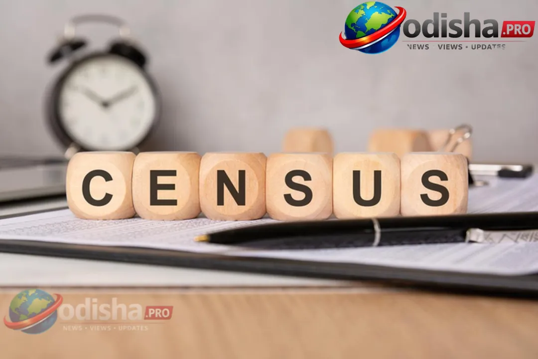 ଡିଜିଟାଲ ଜନଗଣନା ୨୦୨୭: ଓଡିଶାରେ ସ୍ୱୟଂ-ଗଣନା କିପରି କରିବେ