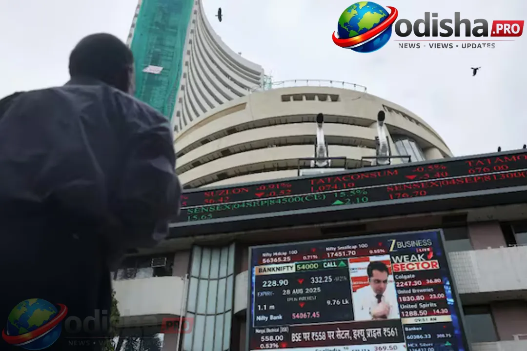 ସେନସେକ୍ସ 800 ପଏଣ୍ଟ ଗଡ଼ିଲା: ଡାଲାଲ୍ ଷ୍ଟ୍ରିଟ୍ ରିକଭରି ର୍ୟାଲି କାହିଁକି ଅଟକିଗଲା?