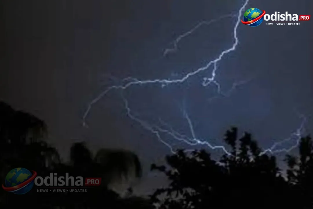 ଏନଏଚ-୧୬ରେ ଧାଉଥିବା ବେଳେ ଅତିରିକ୍ତ ତହସିଲଦାରଙ୍କ ଗାଡ଼ିକୁ ଧକ୍କା ଦେଲା ଟ୍ରକ୍