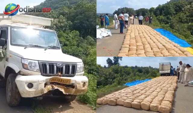 ଓଟିଭି ପ୍ରଭାବ: ବୌଦ୍ଧରେ କୋଇଲା ବୋଝେଇ ଟ୍ରକରୁ ଗଞ୍ଜେଇ ଜବତ, ପୋଲିସର ତଦନ୍ତ ଜୋରଦାର