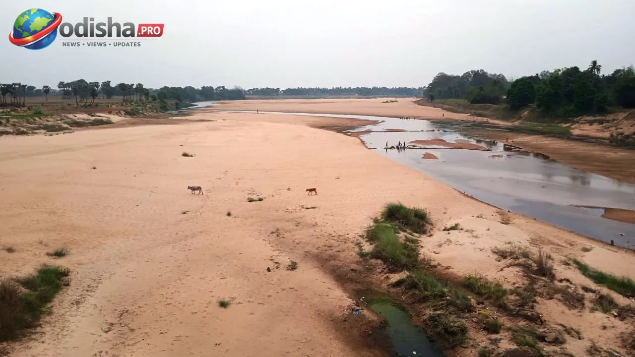 ଅବହେଳା ଓ ଜବରଦଖଲରେ ମୃତ୍ୟୁମୁଖୀ ଓଡ଼ିଶାର ପ୍ରାଚୀନ ନଦୀ; ଶୁଖିଯାଉଛି କୁଶଭଦ୍ରା, ପ୍ରାଚୀ ଓ ଅଳକା