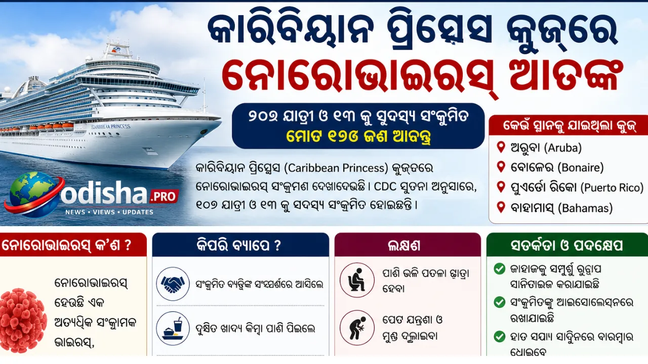 କାରିବିୟାନ୍ ପ୍ରିନ୍ସେସ୍ କ୍ରୁଜ୍‌ରେ ନୋରୋଭାଇରସ୍ ଆତଙ୍କ, ୧୧୫ ଜଣ ସଂକ୍ରମିତ; ଜାଣନ୍ତୁ କେତେ ଭୟଙ୍କର ଏହି ଭାଇରସ୍