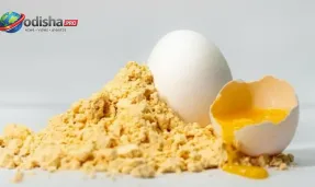 ଓଡ଼ିଶାର ‘ସୁନା ଅଣ୍ଡା’ର ସଫଳତା: ବଲାଙ୍ଗିରରୁ ଅଷ୍ଟ୍ରିଆକୁ ରପ୍ତାନି ହେଲା ଏଗ୍ ପାଉଡର