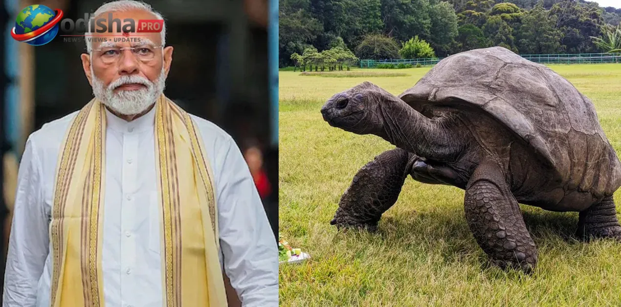 ସେଚେଲ୍ସ ଗସ୍ତରେ ପ୍ରଧାନମନ୍ତ୍ରୀ ମୋଦୀ; ବିଶ୍ୱର ସବୁଠାରୁ ବୟସ୍କ କଇଞ୍ଚ ‘ଜୋନାଥନ୍’ଙ୍କୁ ଭେଟିବେ