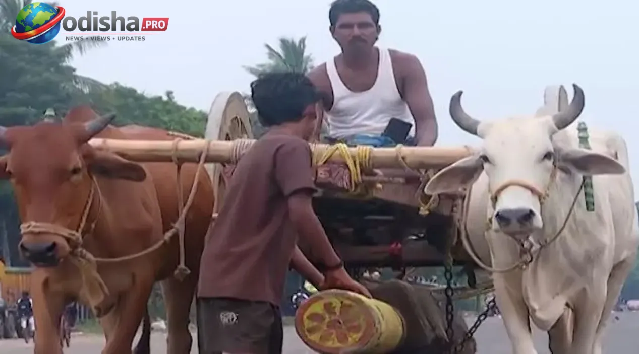 କେନ୍ଦ୍ରାପଡ଼ାର ‘ଆଧୁନିକ ସାଲବେଗ’: ୨୭ ବର୍ଷ ଧରି ପ୍ରଭୁ ବଳଦେବଜୀଉଙ୍କ ରଥ ନିର୍ମାଣ ସେବାରେ ମୁସଲିମ ଭକ୍ତ ସୋନା ଖାନ୍