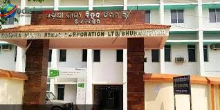 ୬ ମାସ ଧରି ମିଳିନି ବିହନର ଟଙ୍କା! ଆର୍ଥିକ ସଙ୍କଟରେ ଓଡ଼ିଶାର ପ୍ରମାଣିତ ଧାନ ବିହନ ଚାଷୀ