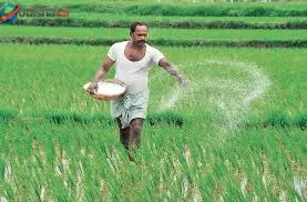 ଚାଷୀଙ୍କ ପାଇଁ ବଡ଼ ନିଷ୍ପତ୍ତି: ସାର ମହଜୁଦ ପାଇଁ ୪୨ କୋଟି ଟଙ୍କାର ଯୋଜନାକୁ ଓଡ଼ିଶା ସରକାରଙ୍କ ମଞ୍ଜୁରି