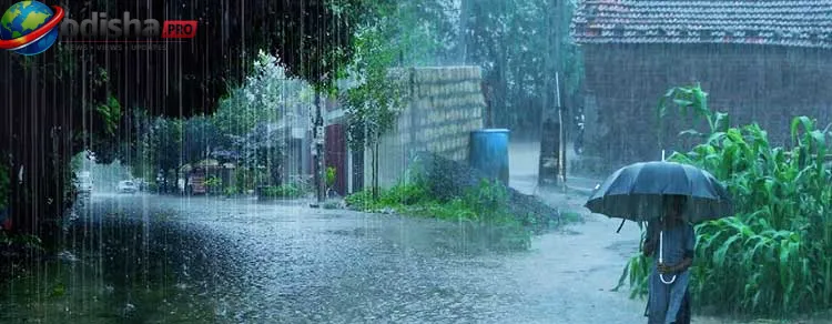 ଜୁଲାଇ ୧ରୁ ଓଡ଼ିଶାରେ ସକ୍ରିୟ ହେବ ମୌସୁମୀ; ରବିବାର ପର୍ଯ୍ୟନ୍ତ ପ୍ରବଳରୁ ଅତି ପ୍ରବଳ ବର୍ଷା ସମ୍ଭାବନା