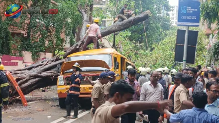 ମୁମ୍ବାଇରେ ସ୍କୁଲ୍ ବସ୍‌ ଉପରେ ଭୁଶୁଡ଼ି ପଡ଼ିଲା ବିରାଟ ଗଛ; ୧୧ ବର୍ଷୀୟ ଛାତ୍ରଙ୍କ ମୃତ୍ୟୁ, ୪ ଆହତ