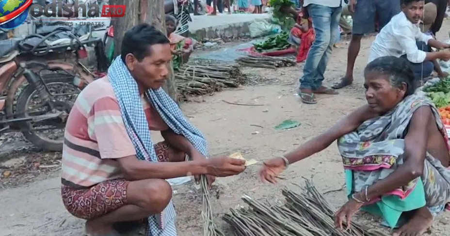 ପୁଅ ଫେରିବ ବୋଲି ଆଜିବି ଅପେକ୍ଷାରେ ମା’; ଜଙ୍ଗଲରୁ କାଠି ସଂଗ୍ରହ କରି ଜୀବନ ବିତାଉଛନ୍ତି କେନ୍ଦୁଝରର ବୃଦ୍ଧା