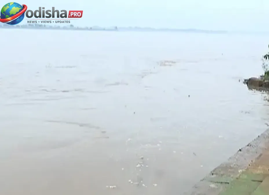 ହୀରାକୁଦରୁ ବନ୍ୟାଜଳ ଛାଡ଼ିବା ପରେ ସୁବର୍ଣ୍ଣପୁରରେ ବଢ଼ିଲା ମହାନଦୀ ଜଳସ୍ତର, ପ୍ରଶାସନର ସତର୍କ ନଜର