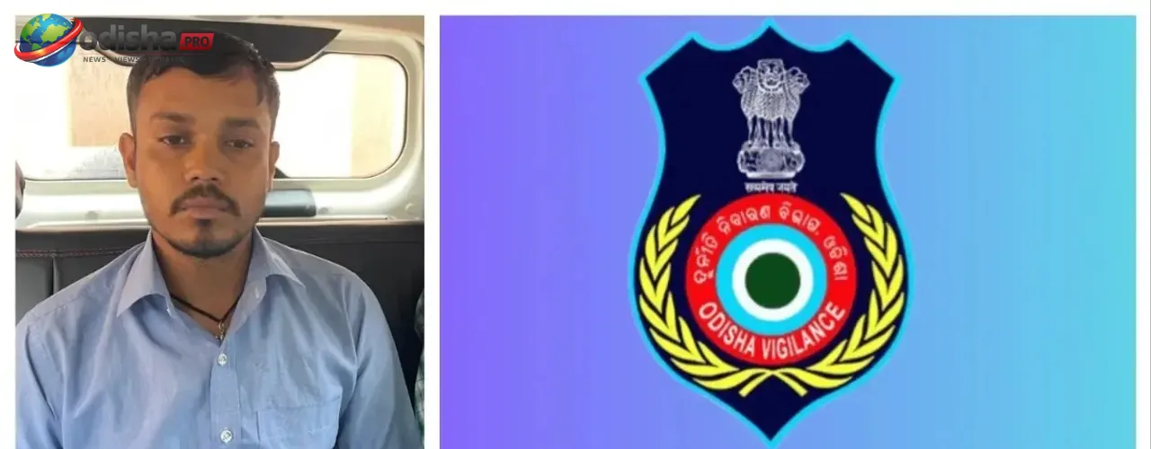 ପଟ୍ଟା ଟ୍ରାନ୍ସଫର ପାଇଁ ୨୫ ହଜାର ଲାଞ୍ଚ ନେଉଥିବା ବେଳେ ଭିଜିଲାନ୍ସ ଜାଲରେ ରାଜସ୍ୱ ନିରୀକ୍ଷକ