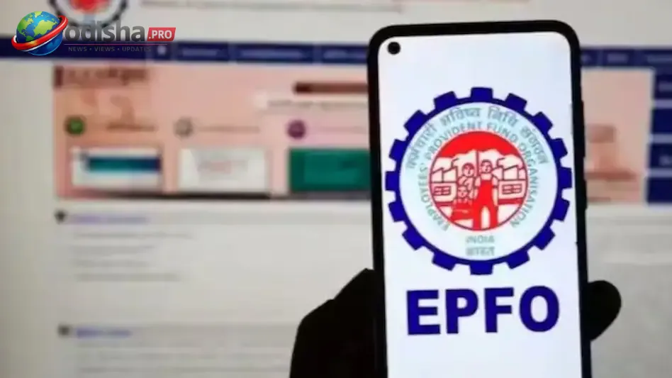 EPFOର ୮.୨୫% ସୁଧ ଜମା ଆରମ୍ଭ! ଏଭଳି ଚେକ୍ କରନ୍ତୁ ଆପଣଙ୍କ ଅପଡେଟେଡ୍ PF ବାଲାନ୍ସ