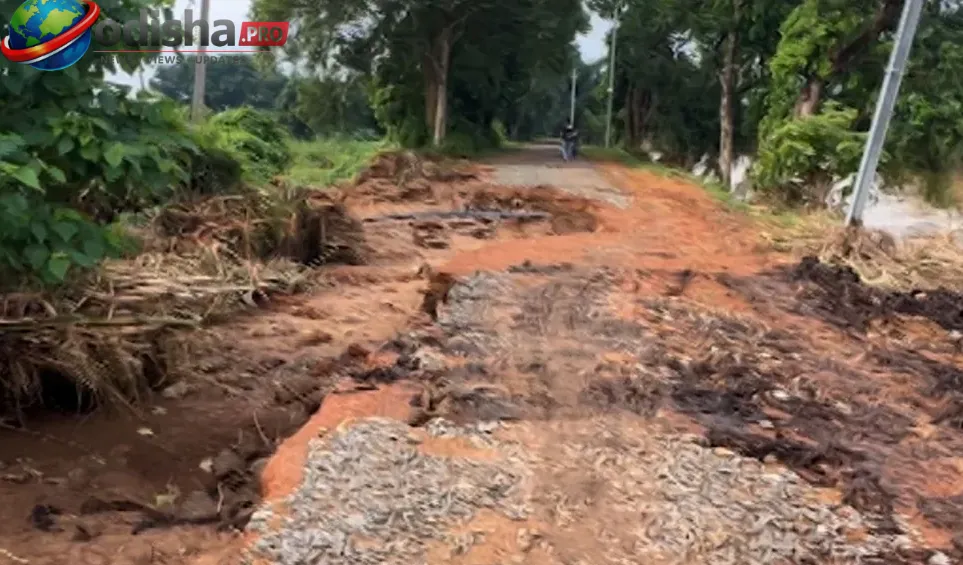 ବନ୍ୟା ପାଣିରେ ଭାସିଗଲା ୫ କୋଟି ଟଙ୍କାର ନୂଆ ରାସ୍ତା! ନିମ୍ନମାନର କାମ ଅଭିଯୋଗ ଆଣିଲେ କୃଷକ, ଫସଲ ନଷ୍ଟ ନେଇ କ୍ଷତିପୂରଣ ଦାବି