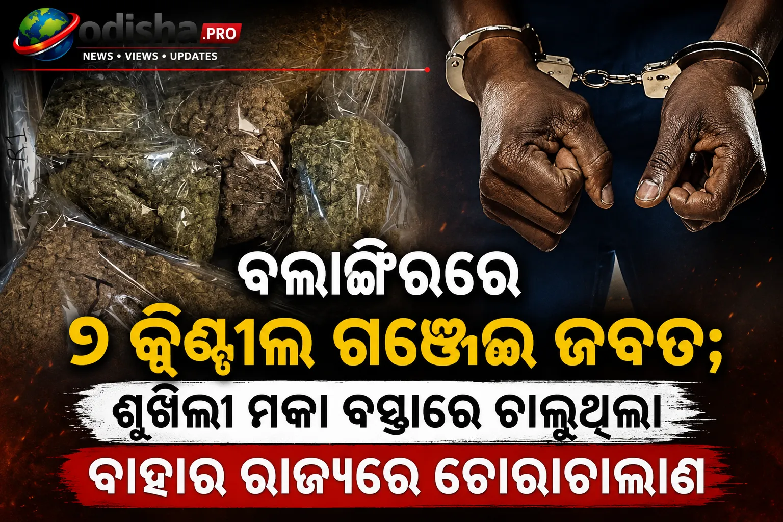 ବଲାଙ୍ଗିରରେ ୭ କ୍ୱିଣ୍ଟାଲ ଗଞ୍ଜେଇ ଜବତ; ଶୁଖିଲା ମକା ବସ୍ତା ଆଢ଼ରେ ଚାଲୁଥିଲା ଆନ୍ତଃରାଜ୍ୟ ରାକେଟ