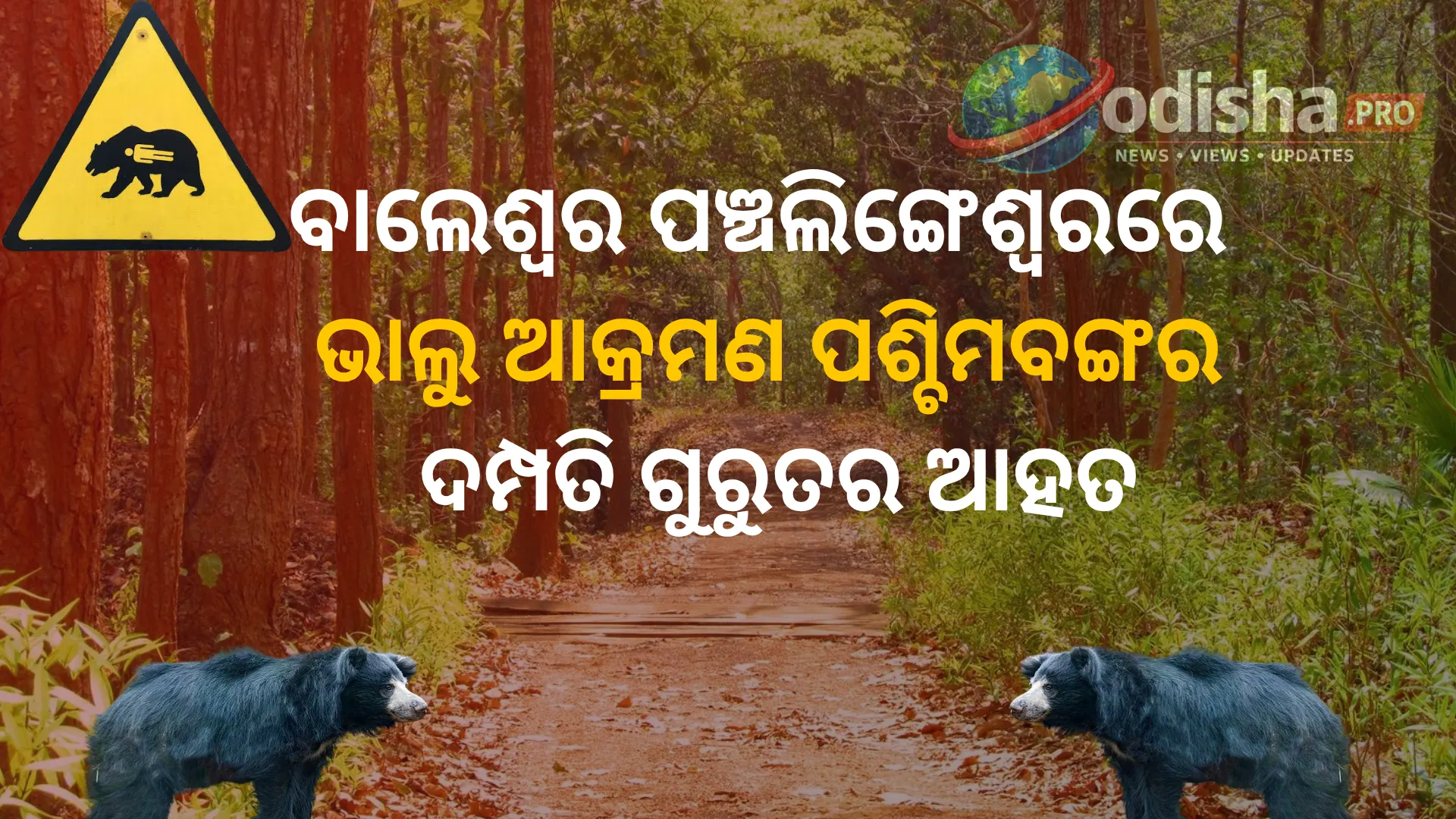 ବାଲେଶ୍ୱର ପଞ୍ଚଲିଙ୍ଗେଶ୍ୱରରେ ଭାଲୁ ଆକ୍ରମଣ; ପଶ୍ଚିମବଙ୍ଗର ଦମ୍ପତି ଗୁରୁତର ଆହତ