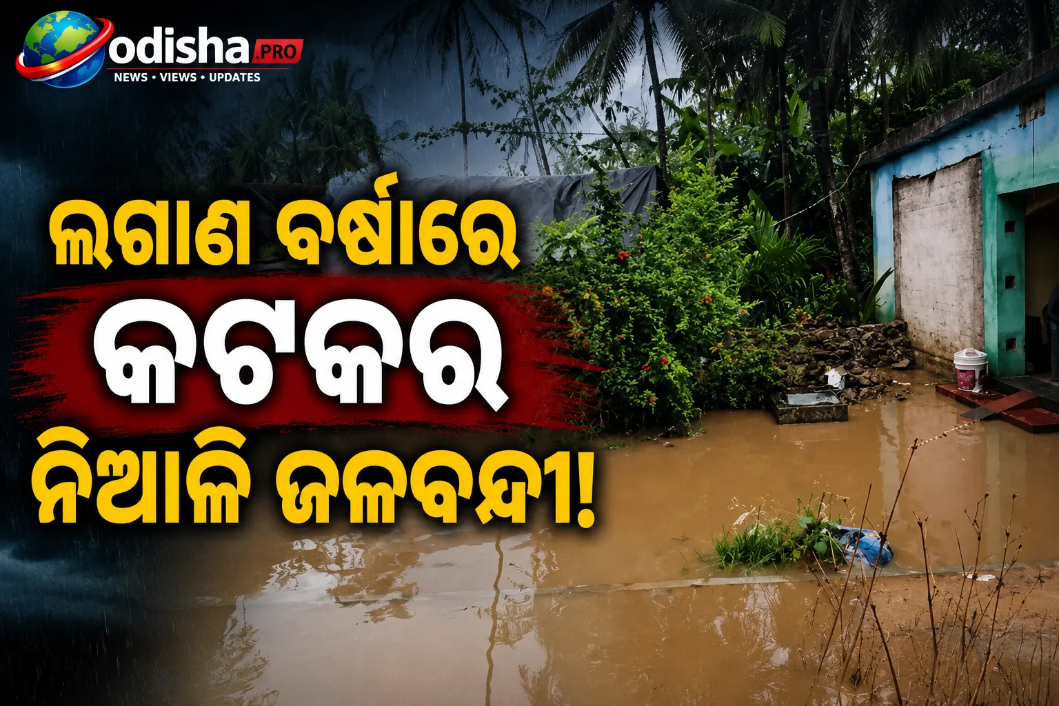ଲଗାଣ ବର୍ଷାରେ କଟକର ନିଆଳି ଜଳବନ୍ଦୀ: ୨୦ ପରିବାର ପାଣି ଘେରରେ, ସହାୟତା ପାଇଁ ଆକୁଳ ନିବେଦନ