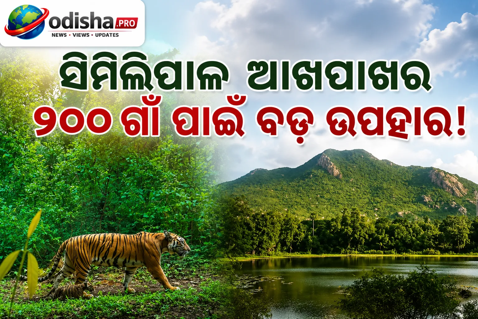 ‘ଆମ ସିମିଳିପାଳ ଯୋଜନା’କୁ ରାଜ୍ୟ ସରକାରଙ୍କ ମଞ୍ଜୁରି: ୧୨୫ କୋଟି ଟଙ୍କାର ଯୋଜନାରେ ଉପକୃତ ହେବେ ୨୦୦ ଗାଁର ଲୋକ