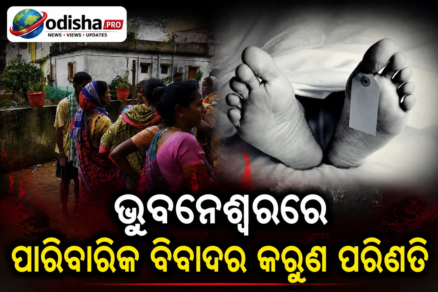 ପାରିବାରିକ କଳହର କରୁଣ ପରିଣତି: ଭୁବନେଶ୍ୱରରେ ବାପାଙ୍କୁ ପିଟି ପିଟି ହତ୍ୟା କଲା ପୁଅ