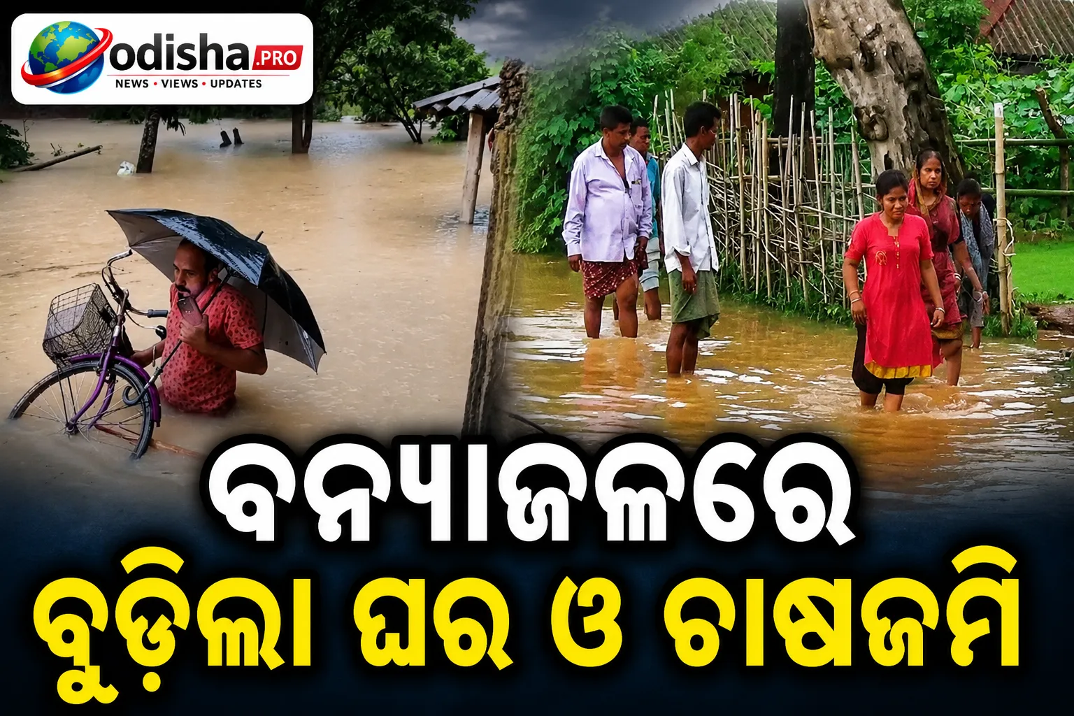 ଲଗାଣ ବର୍ଷାରେ ଉଦଳାରେ ବନ୍ୟା ସ୍ଥିତି: ଜଳମଗ୍ନ ଘର ଓ ଚାଷଜମି, ବଢ଼ୁଛି ଲୋକଙ୍କ ଦୁର୍ଦ୍ଦଶା