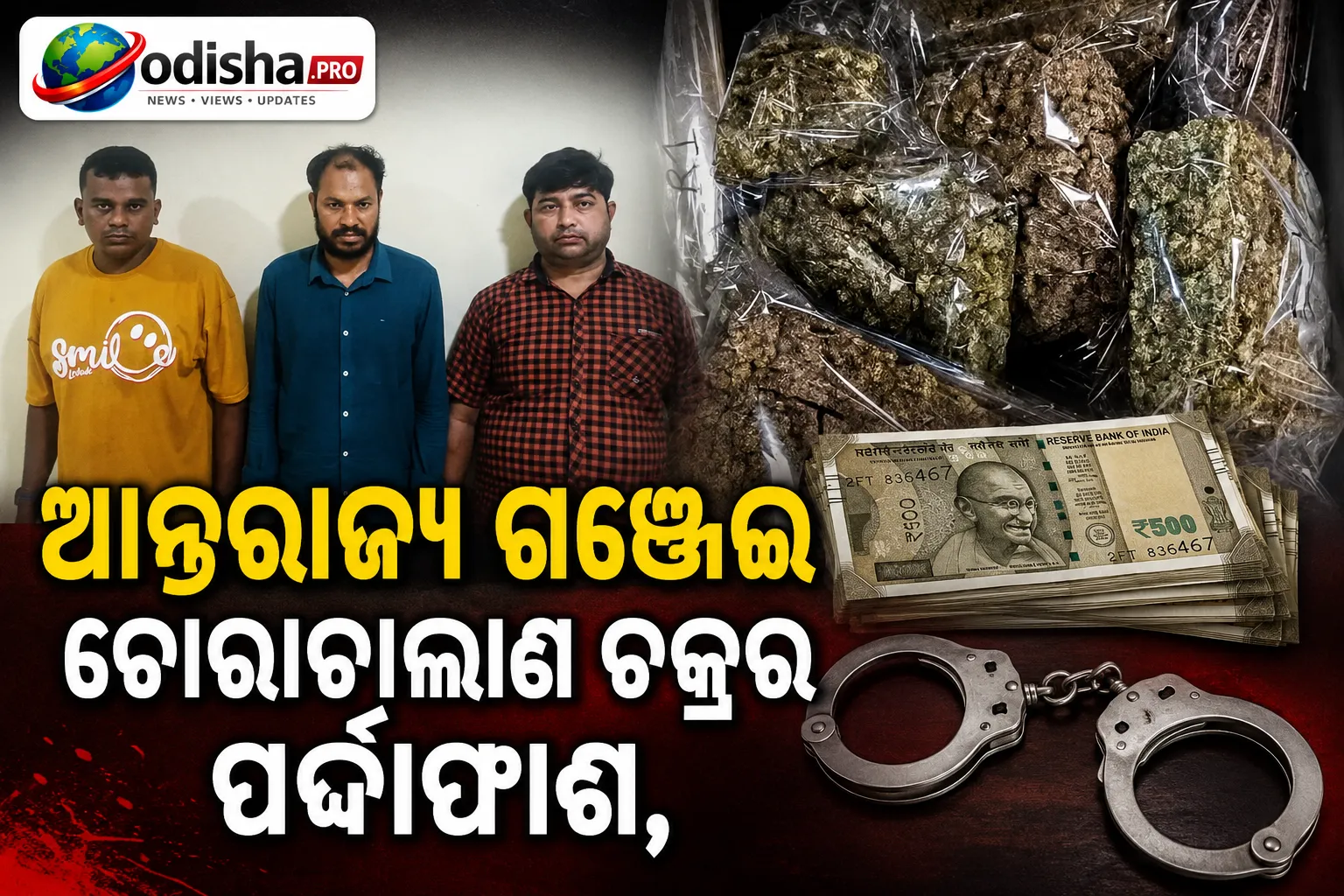 ଆନ୍ତରାଜ୍ୟ ଗଞ୍ଜେଇ ଚୋରାଚାଲାଣ ଚକ୍ରର ପର୍ଦ୍ଦାଫାଶ, ଗଞ୍ଜାମରୁ ୩ ଅଭିଯୁକ୍ତଙ୍କୁ ଗିରଫ କଲା STF
