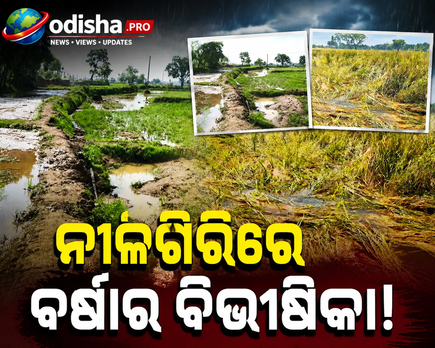 ବାଲେଶ୍ୱର ନୀଳଗିରିରେ ବାଲି ତଳେ ପୋତି ହେଲା ଚାଷଜମି, ଚିନ୍ତାରେ ଚାଷୀ