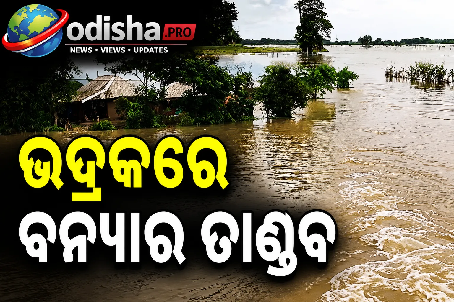 ଭଦ୍ରକରେ ବନ୍ୟାର ତାଣ୍ଡବ: ପ୍ରଥମ ବନ୍ୟା ପାଣି ନ କମିବା ପୂର୍ବରୁ ବାସୁଦେବପୁରକୁ ଘେରିଲା ଦ୍ୱିତୀୟ ବନ୍ୟା ଲହରୀ