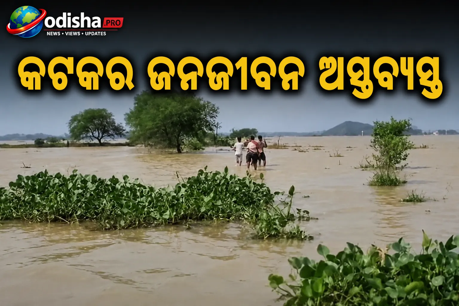 ମହାନଦୀ ବନ୍ୟାରେ କଟକର ଜନଜୀବନ ଅସ୍ତବ୍ୟସ୍ତ, ଅନେକ ଗାଁ ବିଚ୍ଛିନ୍ନ