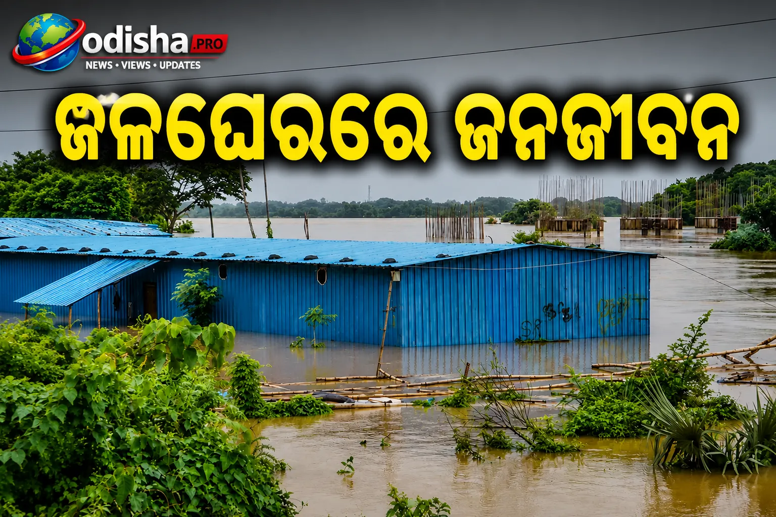 ମହାନଦୀ ବନ୍ୟାରେ କୁଜଙ୍ଗର ୫ ଗାଁ ବିଚ୍ଛିନ୍ନ, ଜଳଘେରରେ ଜନଜୀବନ