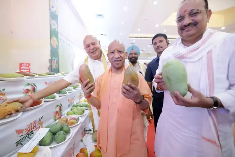ଉତ୍ତର ପ୍ରଦେଶ ଆମ୍ବକୁ ନୂଆ ପରିଚୟ; ମାଲିହାବାଦୀ ଆମ୍ବ ପାଇଁ ‘କାକୋରୀ’ ବ୍ରାଣ୍ଡର ଶୁଭାରମ୍ଭ କଲେ ଯୋଗୀ