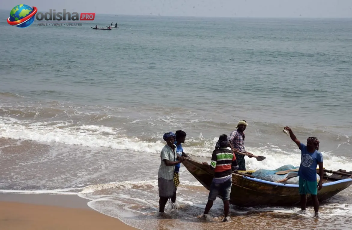 ଓଡ଼ିଶା ଉପକୂଳରେ ଉତ୍ତାଳ ସମୁଦ୍ରରେ ଫସିଥିବା ଆନ୍ଧ୍ରର ୩୪ଟି ମାଛଧରା ଟ୍ରଲର ଉଦ୍ଧାର, ସୁରକ୍ଷିତ ଭାବେ ପହଞ୍ଚିଲେ ଗୋପାଳପୁର ବନ୍ଦରରେ