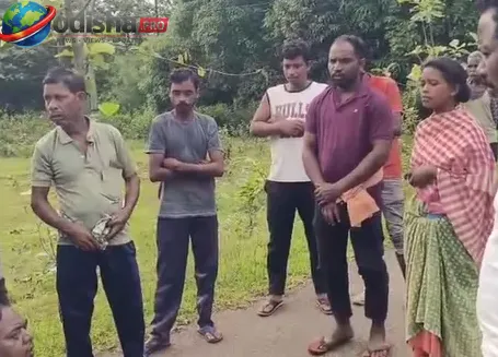 ସୁନ୍ଦରଗଡ଼ରେ ହାତୀ ଆକ୍ରମଣରେ ବୃଦ୍ଧଙ୍କ ମୃତ୍ୟୁ, ବନ ବିଭାଗର ତଦନ୍ତ ଆରମ୍ଭ