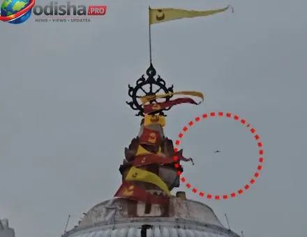 ରଥଯାତ୍ରା ପୂର୍ବରୁ ଶ୍ରୀମନ୍ଦିର ସୁରକ୍ଷାରେ ବଡ଼ ତ୍ରୁଟି: ନୀଳଚକ୍ର ଉପରେ ଡ୍ରୋନ୍ ଉଡ଼ାଇ କୋଲକାତାର ଯୁବକ ଅଟକ