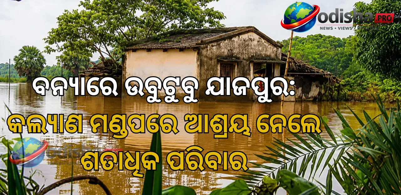 ବନ୍ୟାରେ ଉବୁଟୁବୁ ଯାଜପୁର: କଲ୍ୟାଣ ମଣ୍ଡପରେ ଆଶ୍ରୟ ନେଲେ ଶତାଧିକ ପରିବାର