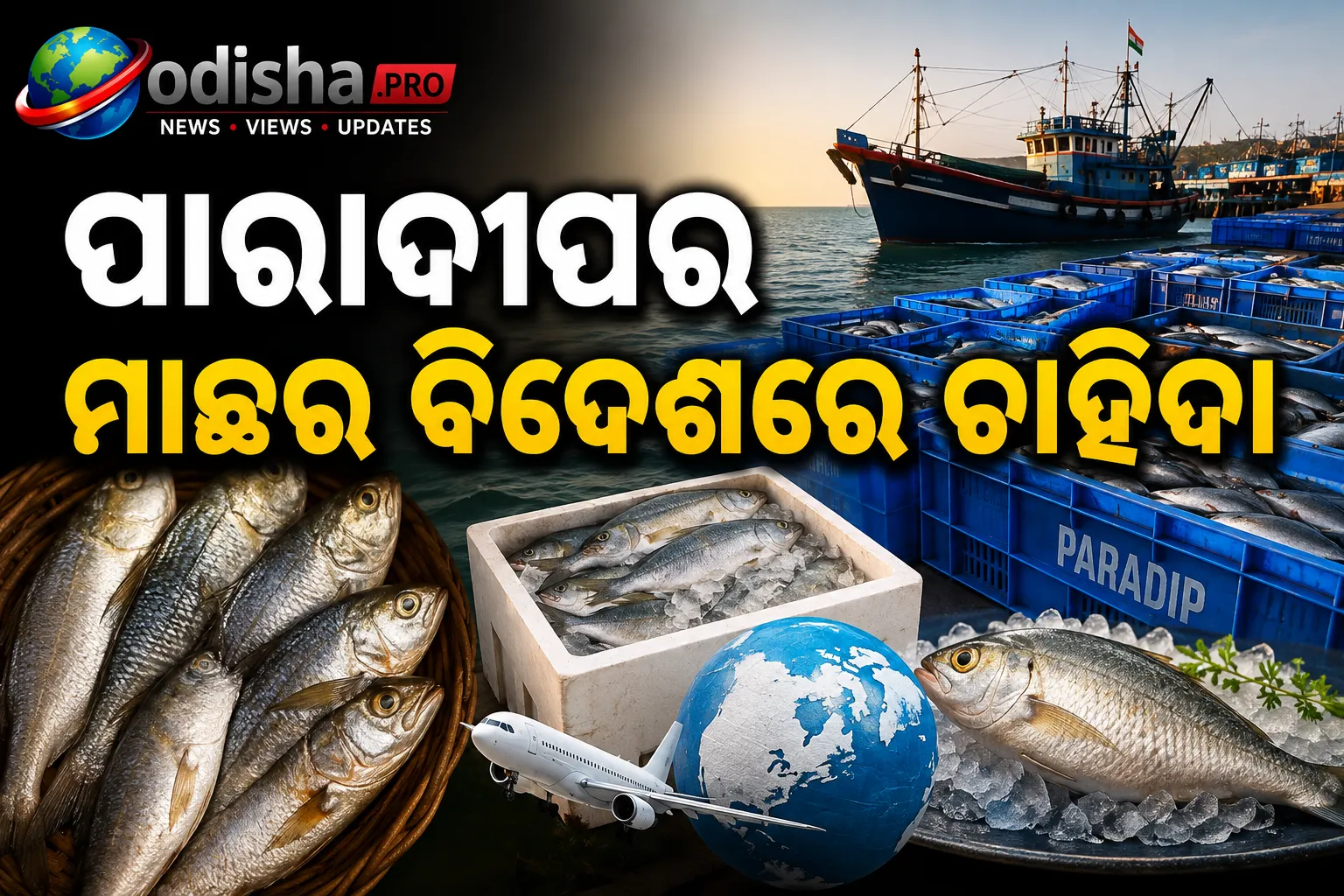 ପାରାଦୀପର ମାଛର ବିଦେଶରେ ବଢୁଛି ଚାହିଦା, ବିଶ୍ୱ ବଜାରରେ ଓଡ଼ିଶା ସାମୁଦ୍ରିକ ମାଛର ଦବଦବା