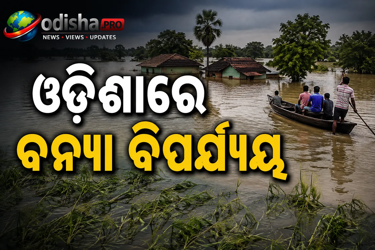 ଓଡ଼ିଶାରେ ବନ୍ୟା ବିପର୍ଯ୍ୟୟ: ଶହ ଶହ ହେକ୍ଟର ଚାଷଜମି ଜଳମଗ୍ନ, କ୍ଷତିପୂରଣ ଦାବି କଲେ ଚାଷୀ